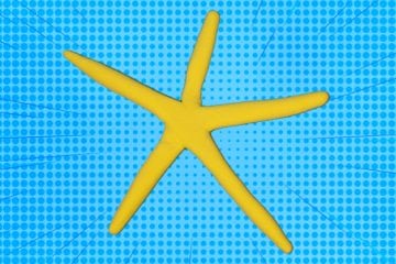 Illustration of a yellow starfish against a blue background